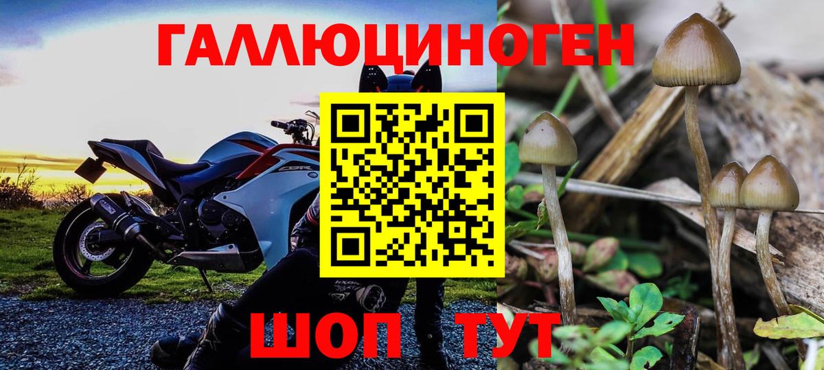 Балашиха  Псилоцибиновые грибы MAGIC MUSHROOMS  Вход с VPN  Галлюциногенные грибы Magic Shrooms 